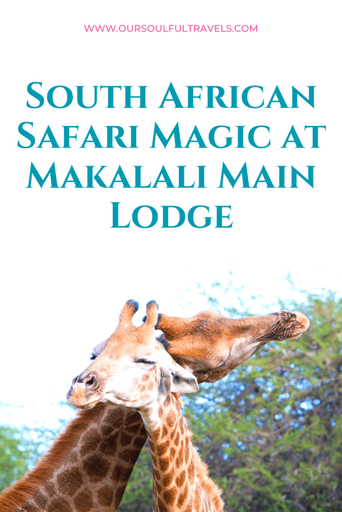 South African Safari