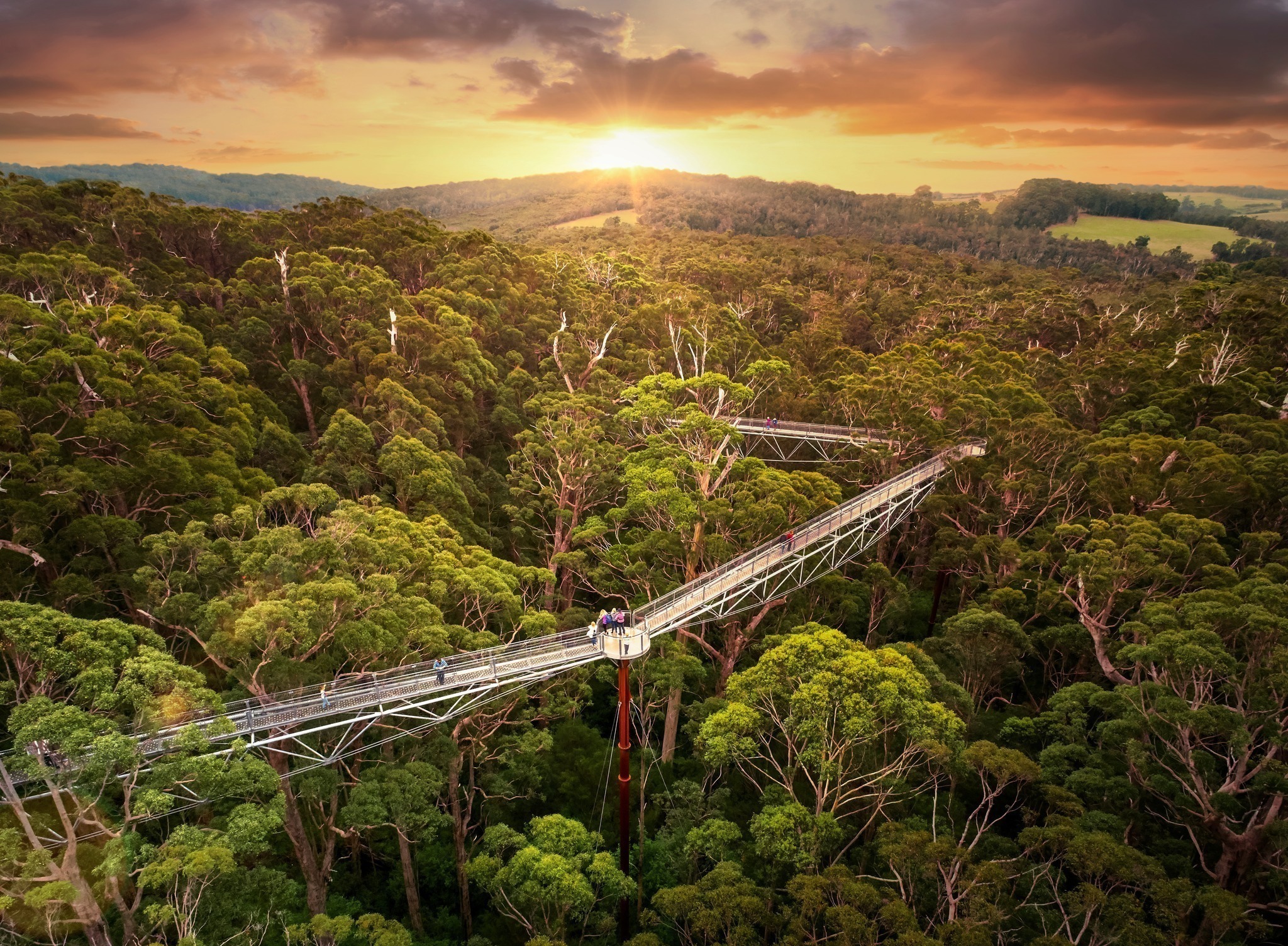 21 BEST Treetop Walks & Canopy Tours Around The World (2025) - Our ...