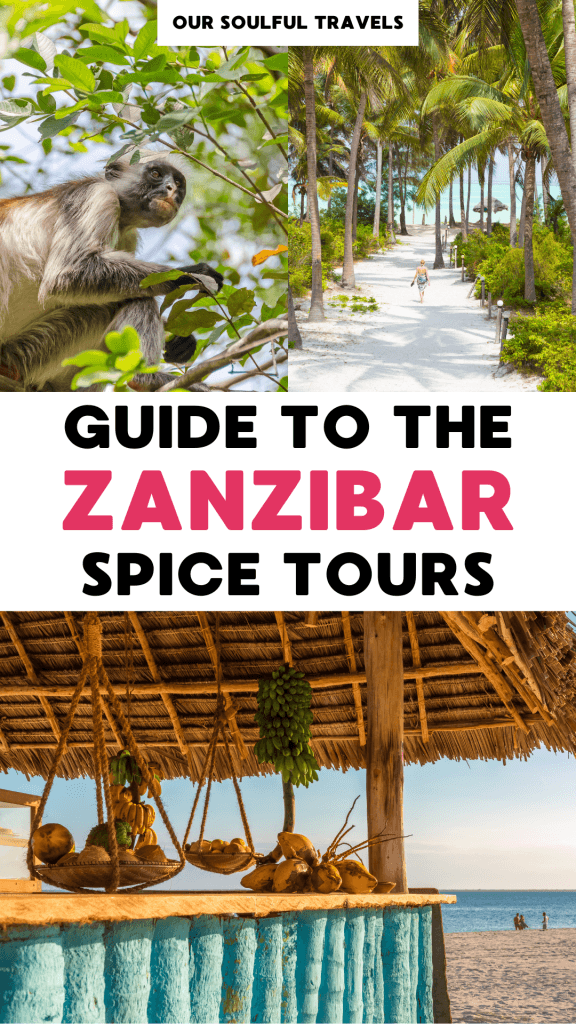 Review Of The Spice Tour In Zanzibar (Why You Should Book It In 2024 ...