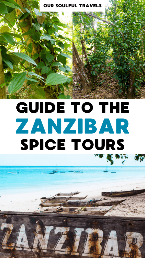 Review Of The Spice Tour In Zanzibar (Why You Should Book It In 2024 ...