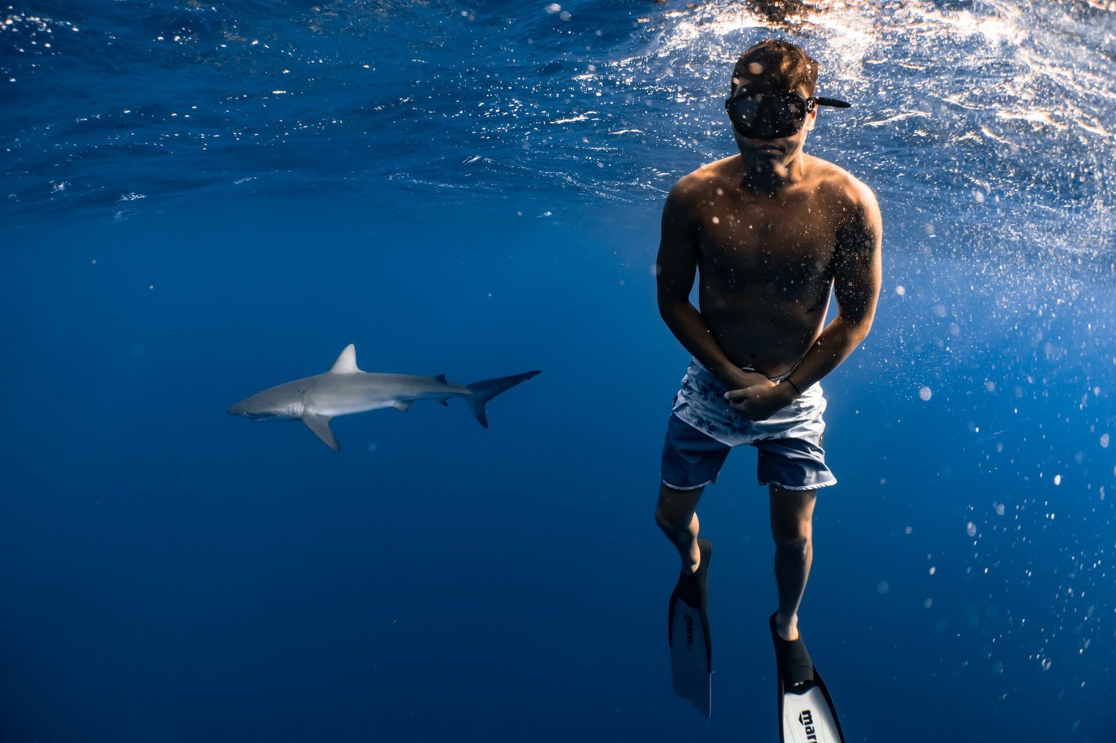 Are There Sharks In Mauritius And Is It Safe To Swim? (2024) Our Soulful Travels