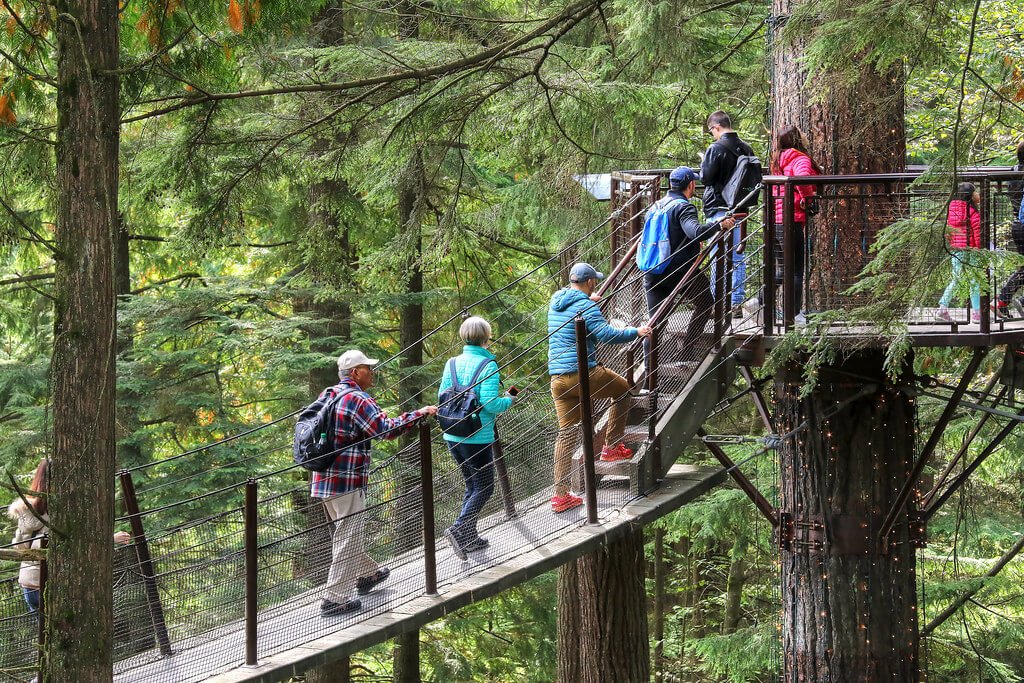 tourists walking along the suspension bridges in the forests of British Columbia.