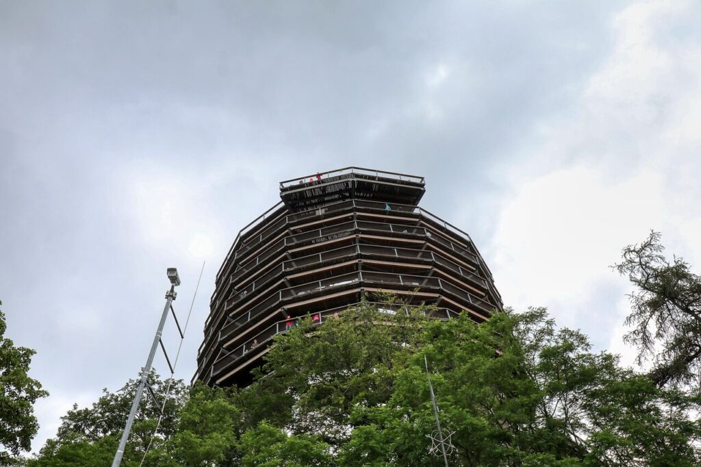 View of the treetop walk in Germany from below.