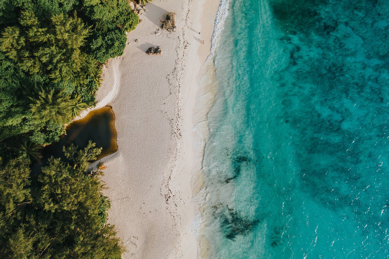 Drone Footage of a Beach that could be Zanzibar or Seychelles.