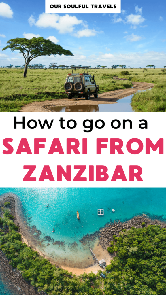 Safari from Zanzibar to Tanzania