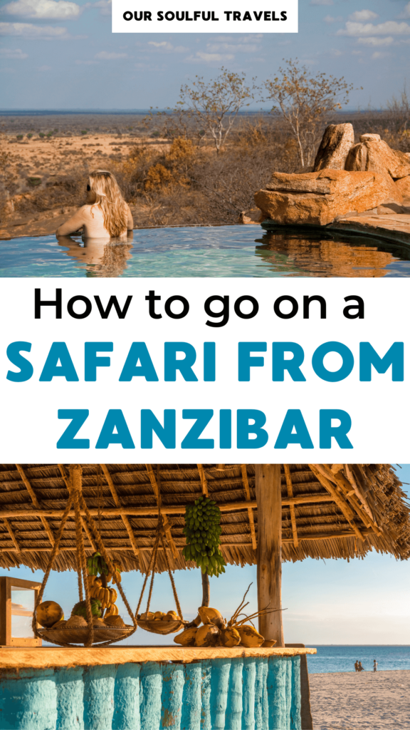 Safari from Zanzibar to Tanzania
