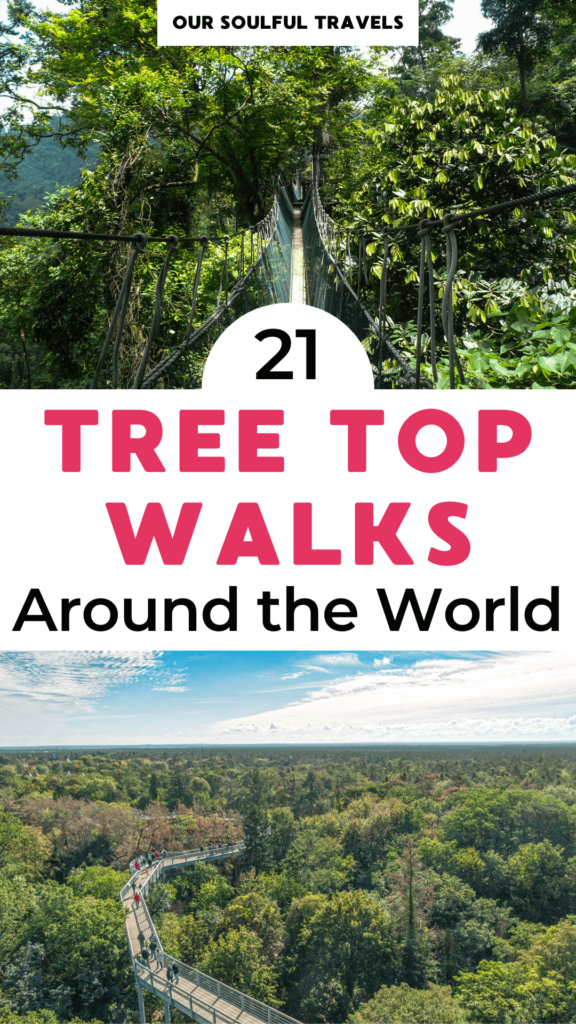 treetop walks
