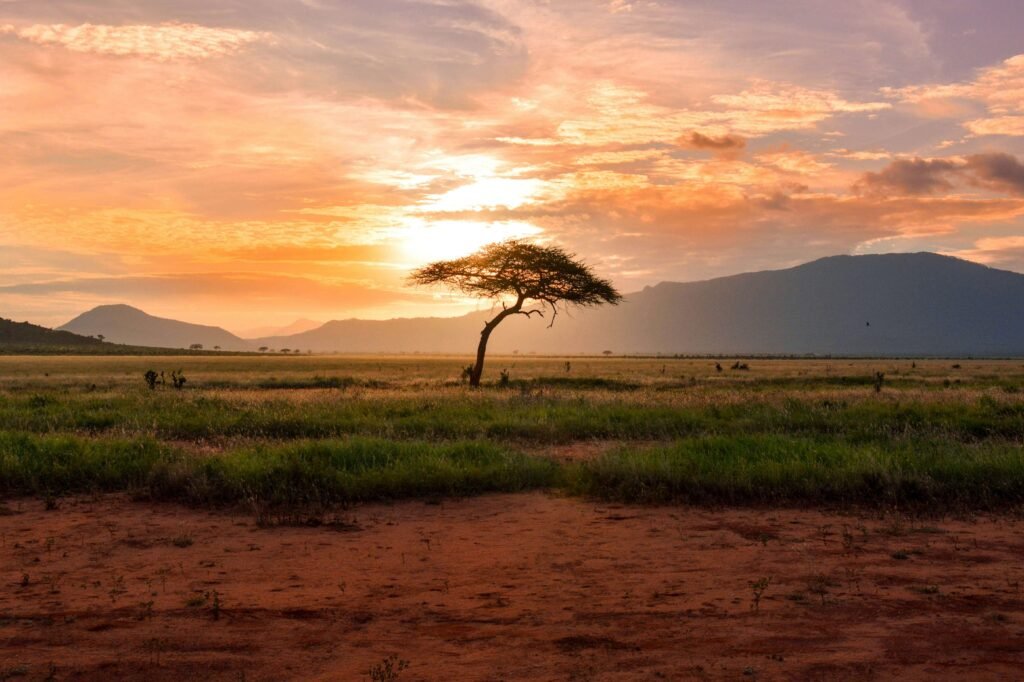 The Serengeti at sunset during a safari from Zanzibar to Tanzania.