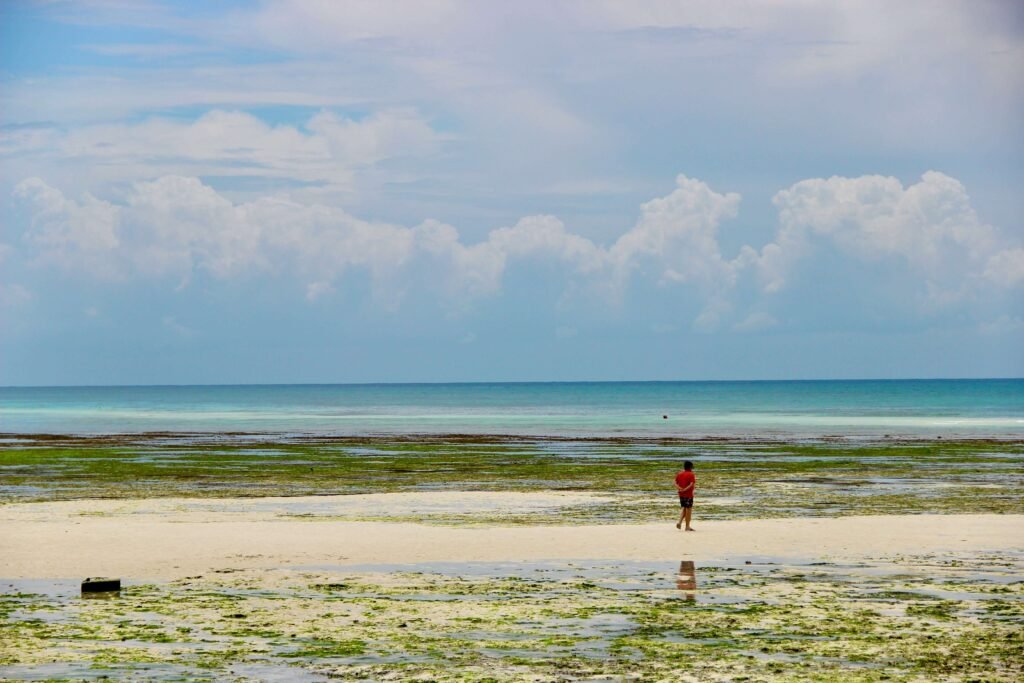 A person walking along the Zanzibar shoreline at low tide.