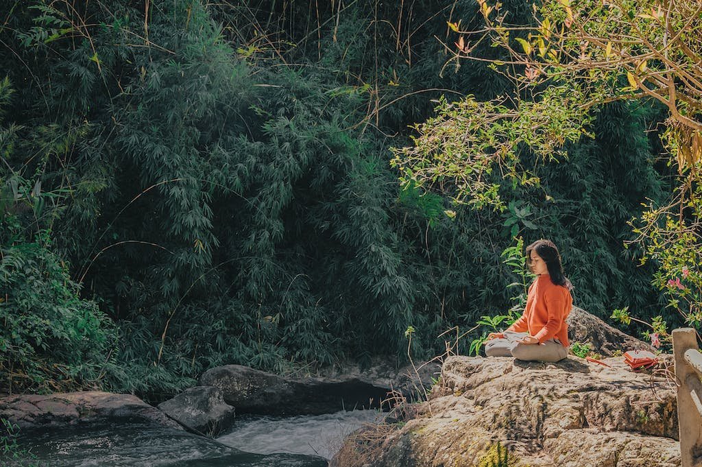 Woman Sitting on Brown Stone Near Green Leaf Trees at Daytime at One of The Healing Retreats in Bali.