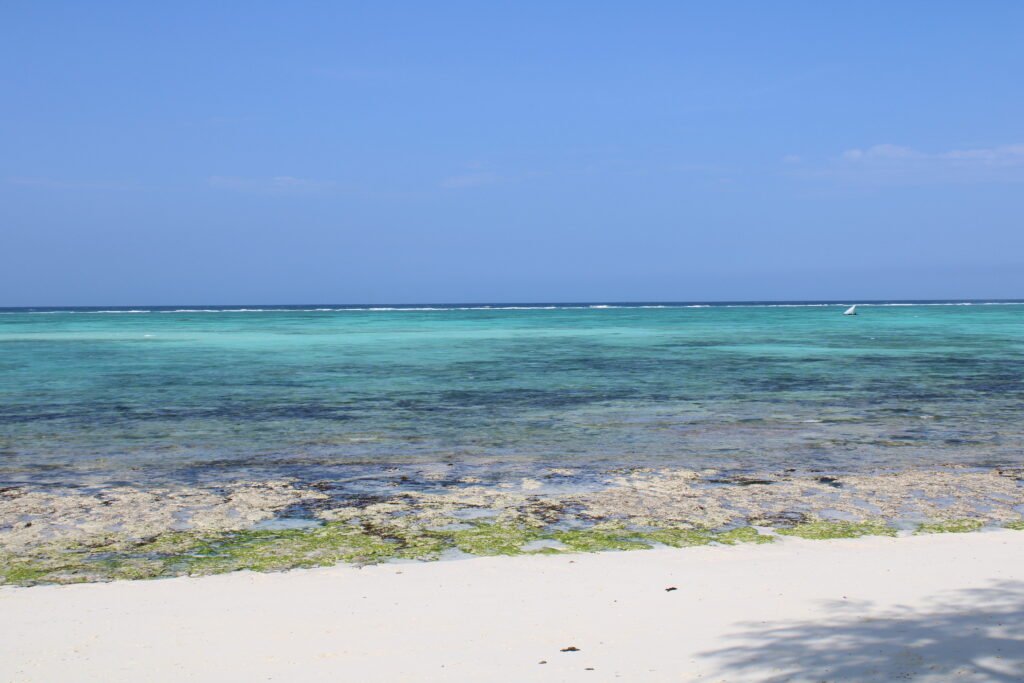 One of the best Zanzibar snorkeling spots is Nungwi Beach.