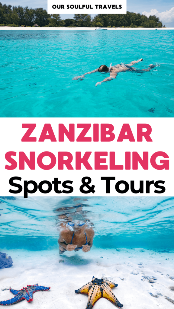 Zanzibar Snorkeling Guide: Best Spots And Tours (2024)