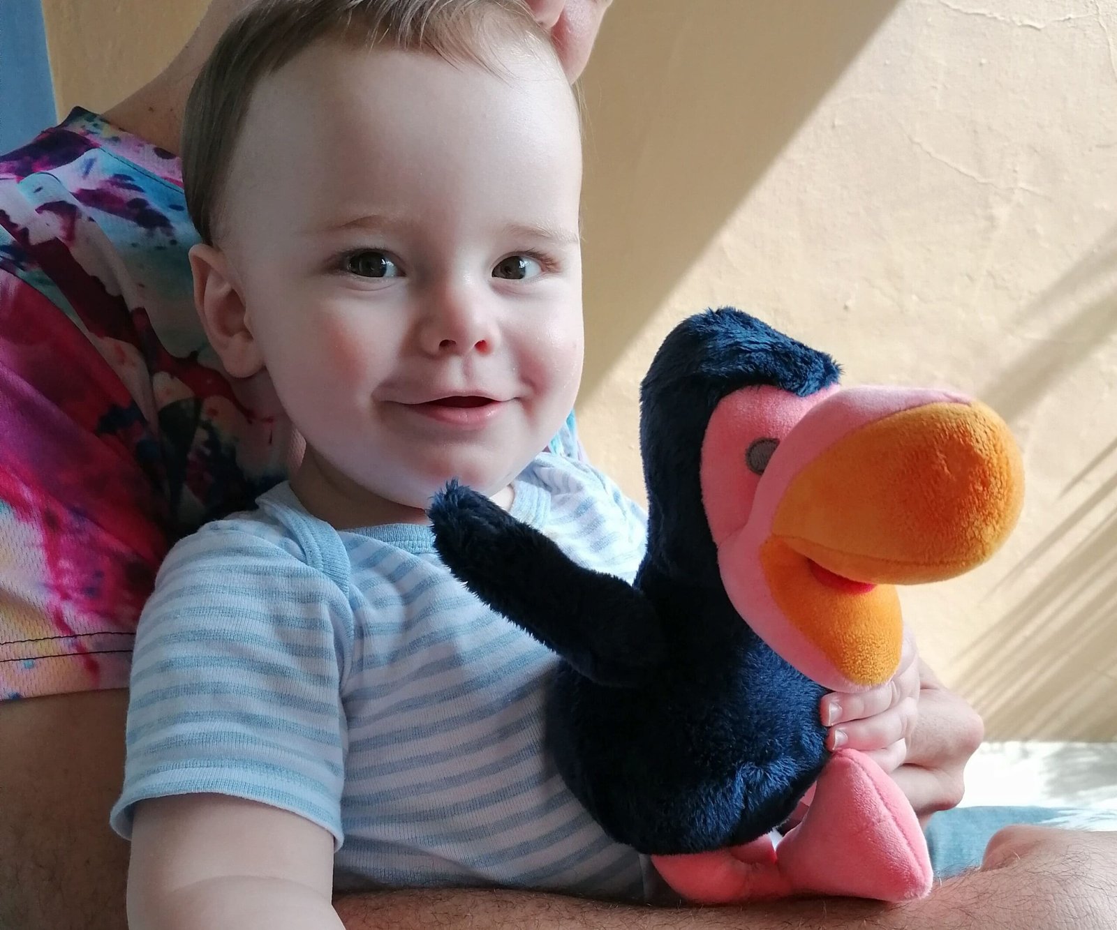 A smiling toddler holding a dodo stuffed toy which is one of the most common Mauritius souvenirs.