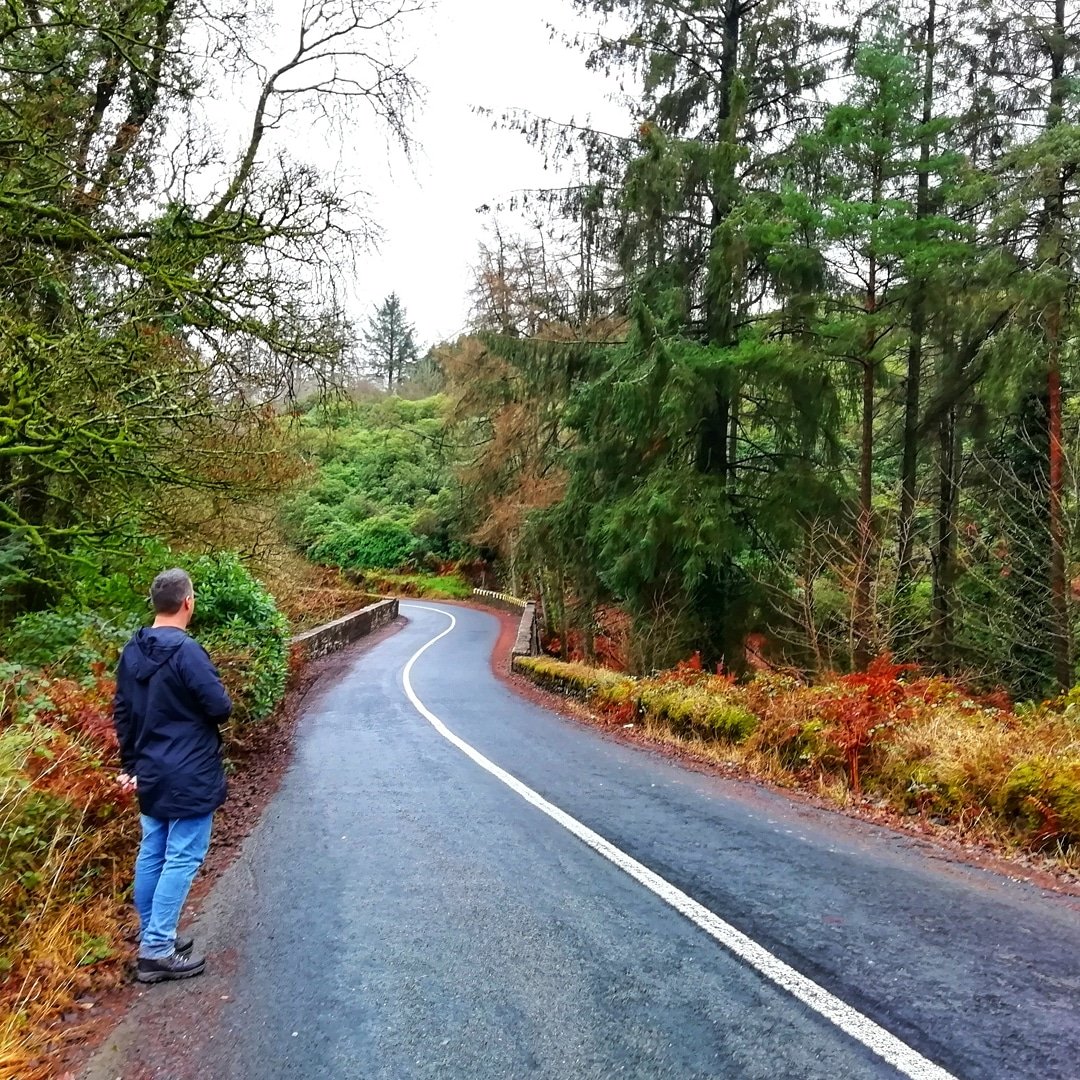 A man standing next to the road in a forest in Ireland wondering "How long does it take to drive across Ireland?"