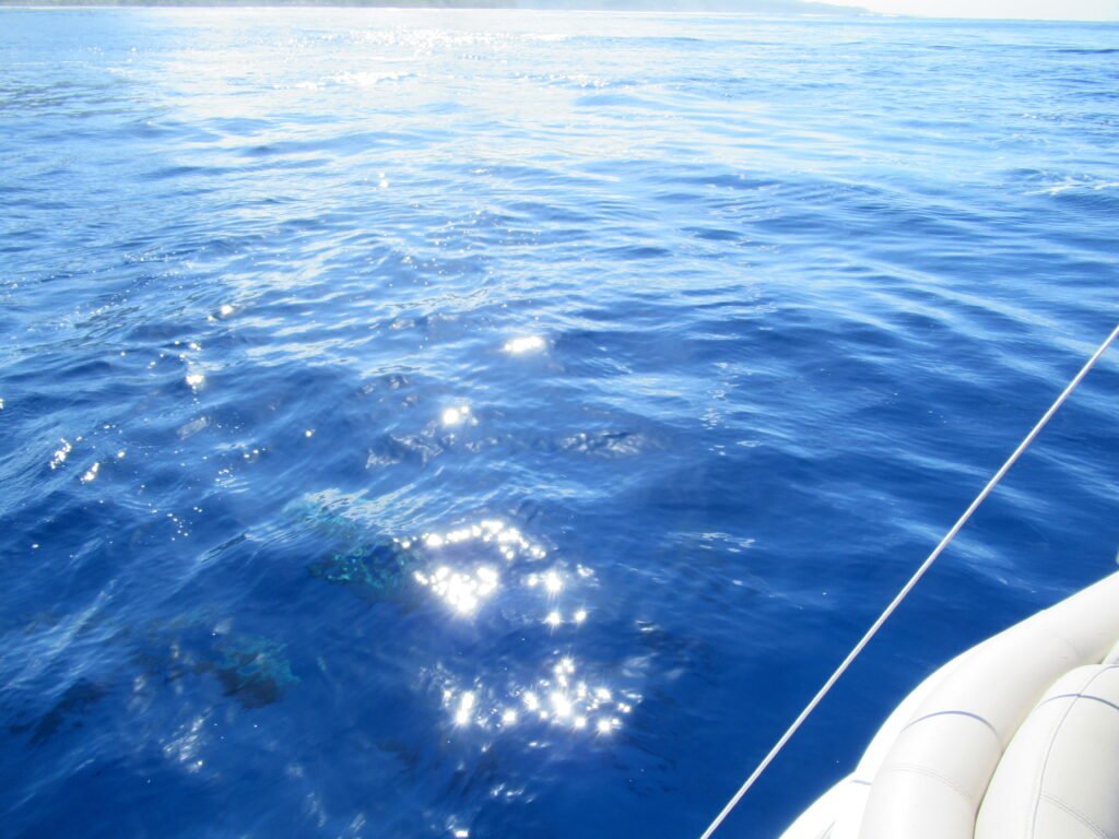 About to dive into the ocean from the boat.