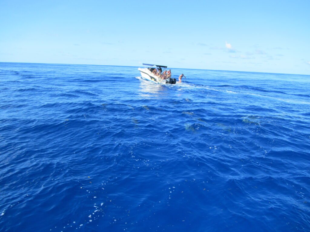 A boat taking people to go swimming with dolphins in Mauritius.