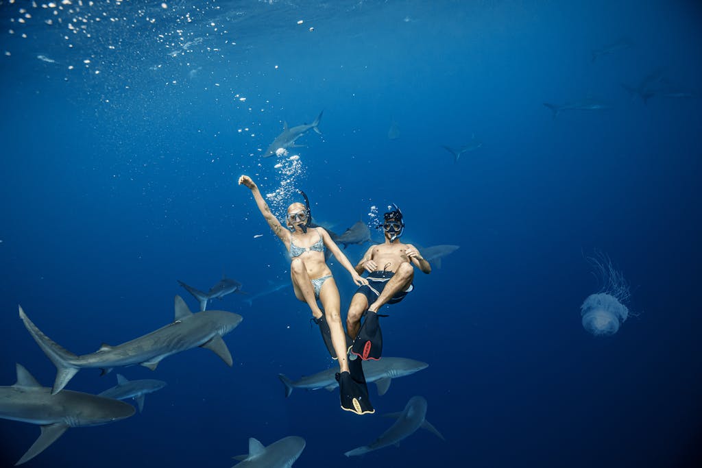Experience the thrill of underwater adventure swimming with sharks in Hawaii's deep blue sea.